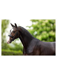 BR Hoofdstel Andover Trenshoofdstellen - Maddelin Equestrian BR