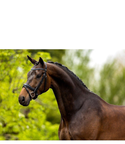 BR Hoofdstel Newcastle Trenshoofdstellen - Maddelin Equestrian BR