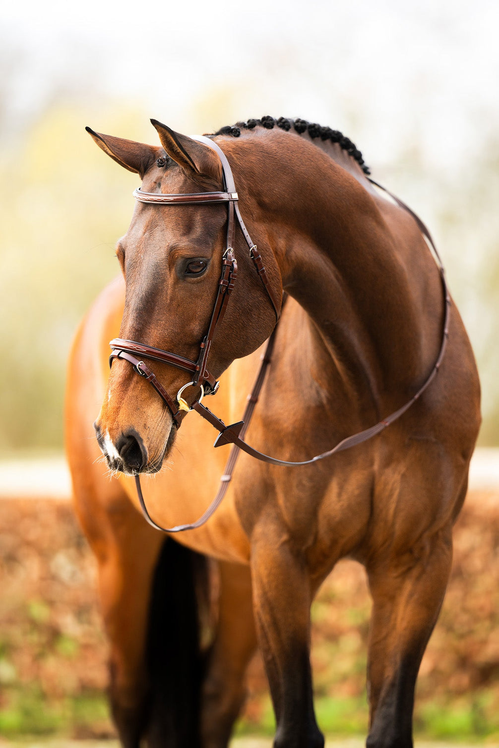 BR hoofdstel Salcombe Trenshoofdstellen - Maddelin Equestrian BR