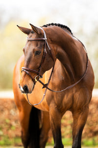 BR hoofdstel Salcombe Trenshoofdstellen - Maddelin Equestrian BR