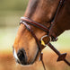 BR hoofdstel Salcombe Trenshoofdstellen - Maddelin Equestrian BR