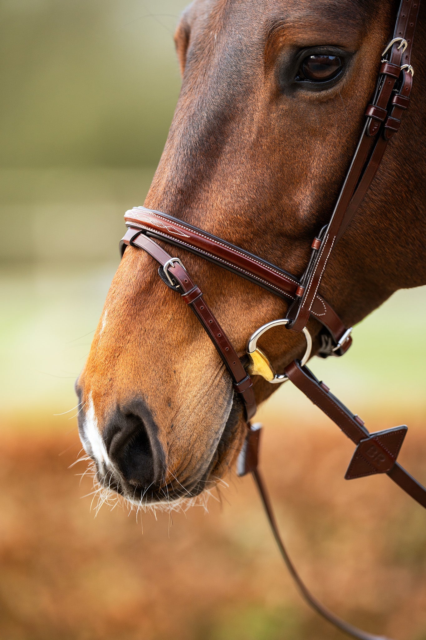 BR hoofdstel Salcombe Trenshoofdstellen - Maddelin Equestrian BR