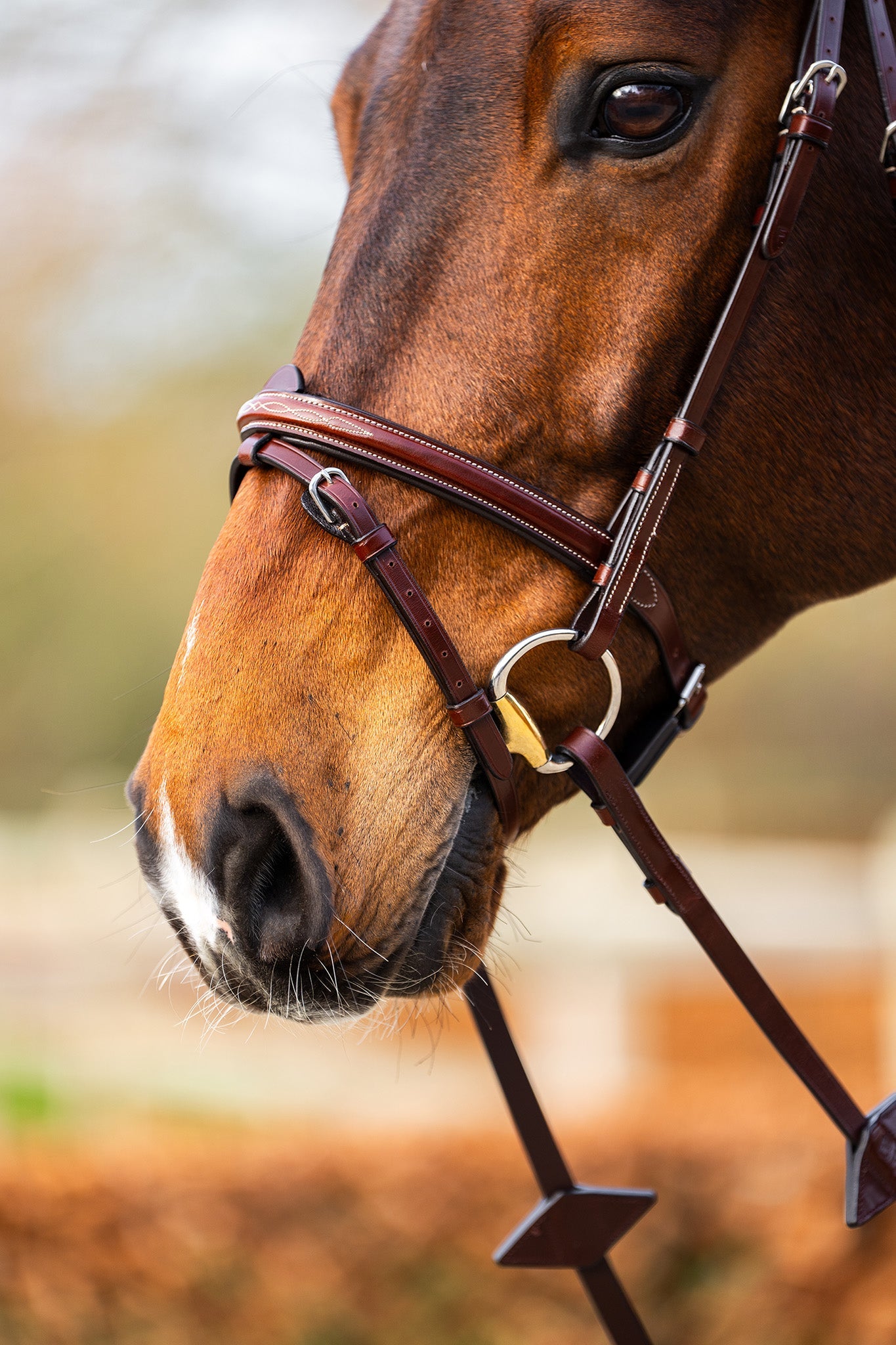BR hoofdstel Sunderland Trenshoofdstellen - Maddelin Equestrian Cavalleria Toscana