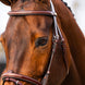 BR hoofdstel Sunderland Trenshoofdstellen - Maddelin Equestrian Cavalleria Toscana