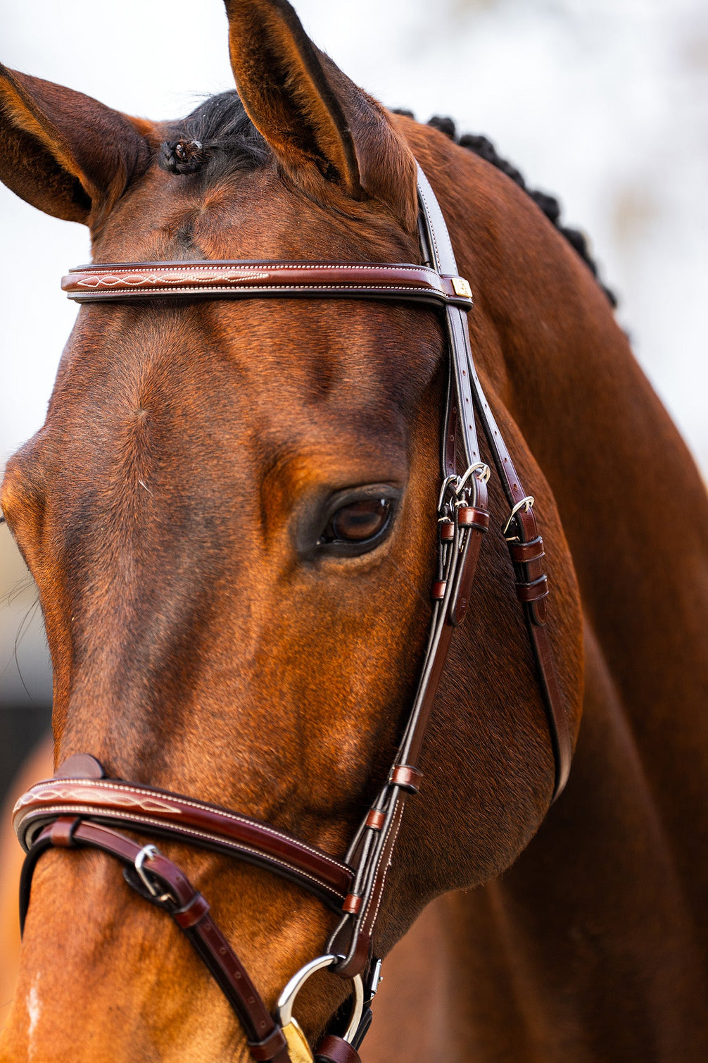 BR hoofdstel Sunderland Trenshoofdstellen - Maddelin Equestrian Cavalleria Toscana
