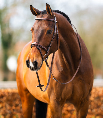 BR hoofdstel Sunderland Trenshoofdstellen - Maddelin Equestrian Cavalleria Toscana