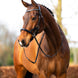 BR sidepull hoofdstel Thaxted Bitloos - Maddelin Equestrian BR