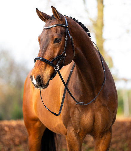 BR sidepull hoofdstel Thaxted Bitloos - Maddelin Equestrian BR