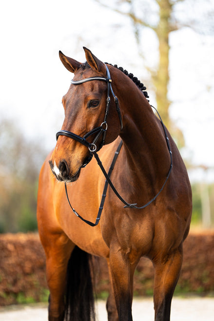 BR sidepull hoofdstel Thaxted Bitloos - Maddelin Equestrian BR