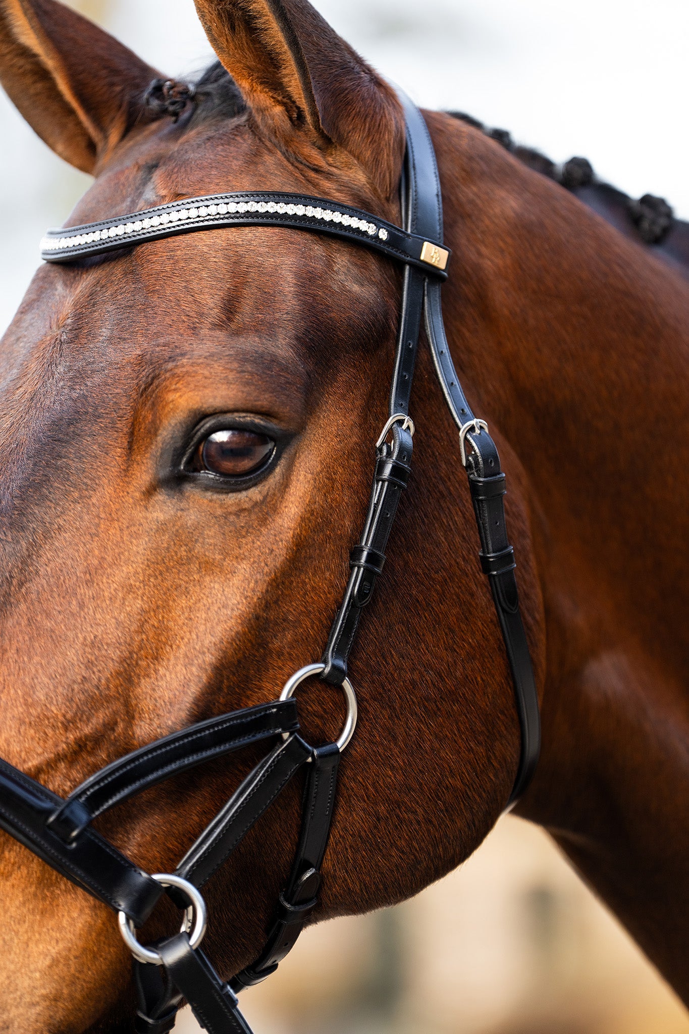 BR sidepull hoofdstel Thaxted Bitloos - Maddelin Equestrian BR