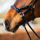 BR sidepull hoofdstel Thaxted Bitloos - Maddelin Equestrian BR