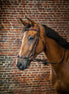 Dy'on Adjustable Drop Noseband Hoofdstel