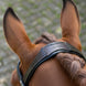 LeMieux Arika Dressage Hoofdstel
