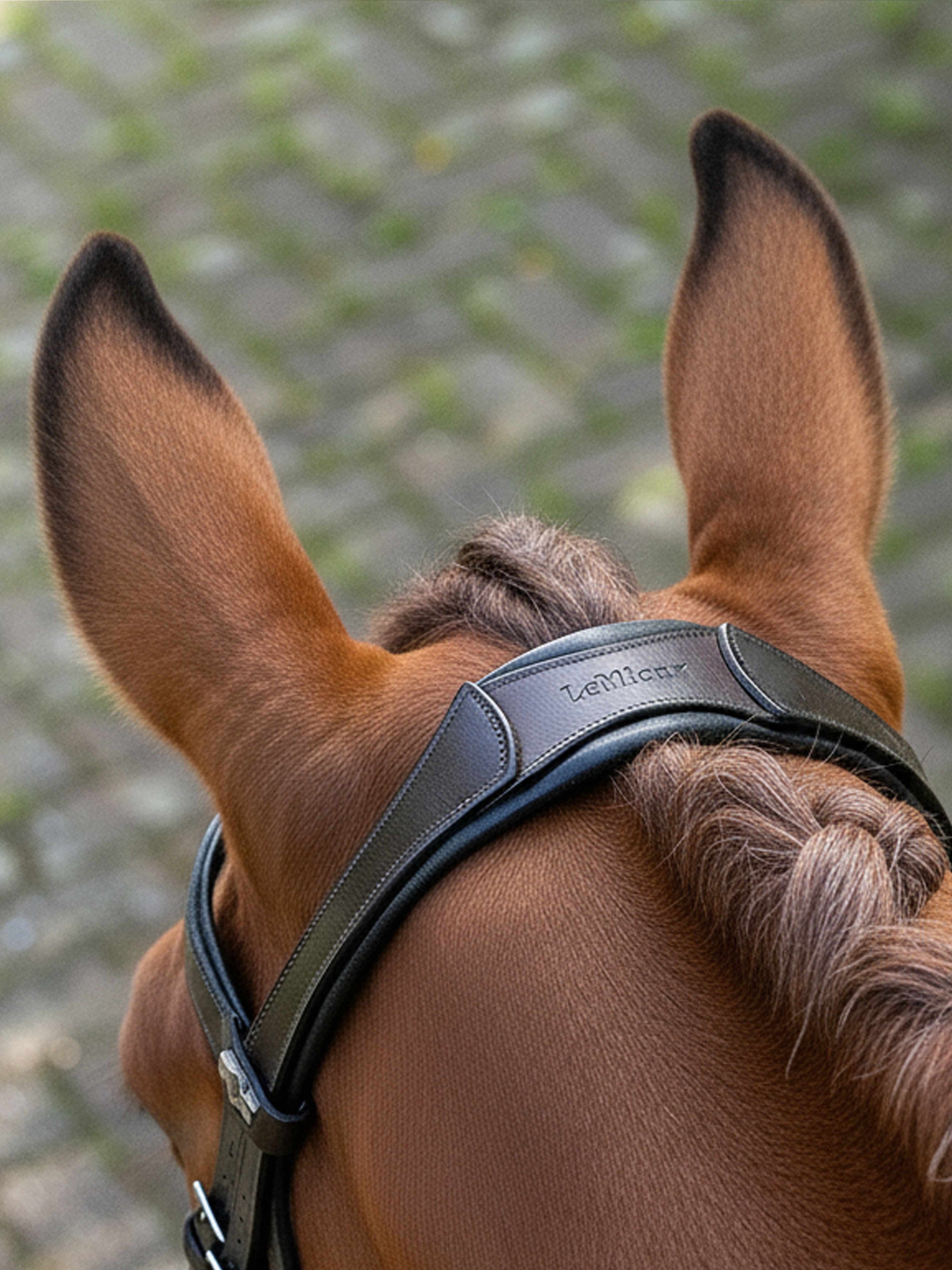 LeMieux Arika Dressage Hoofdstel