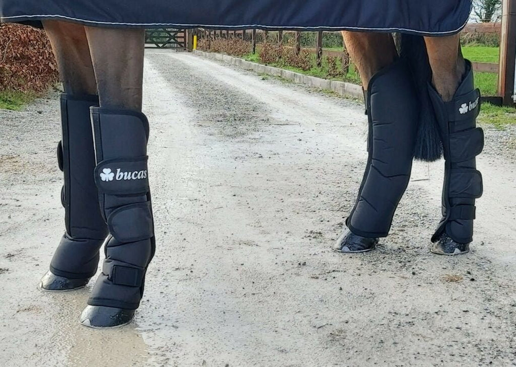 Bucas 2020 Transportbeschermers Transport, therapeutisch en stalbeschermers - Maddelin Equestrian Bucas