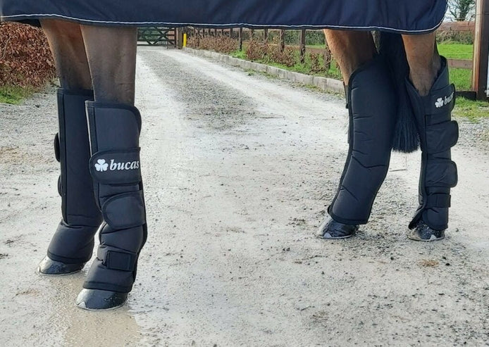 Bucas 2020 Transportbeschermers Transport, therapeutisch en stalbeschermers - Maddelin Equestrian Bucas