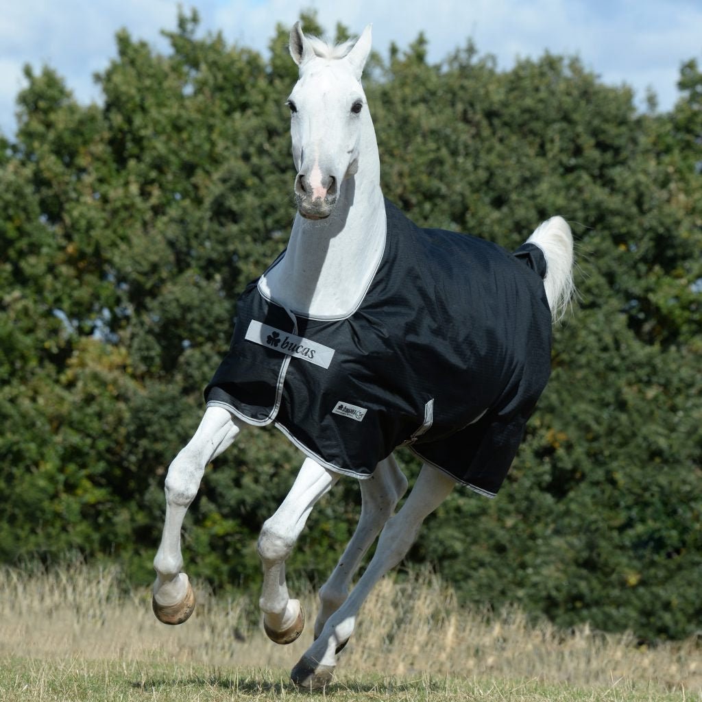 Bucas Anniversary Turnout Outdoordeken - Maddelin Equestrian Bucas