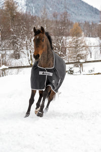 Bucas Anniversary Turnout Outdoordeken - Maddelin Equestrian Bucas