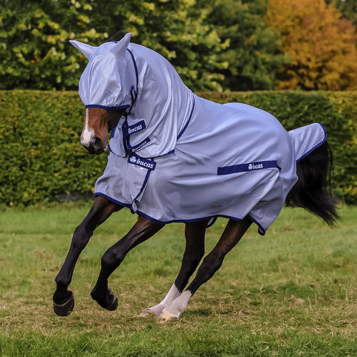 Bucas Buzz - Off Full Neck Vliegendeken Vliegendekens - Maddelin Equestrian Bucas