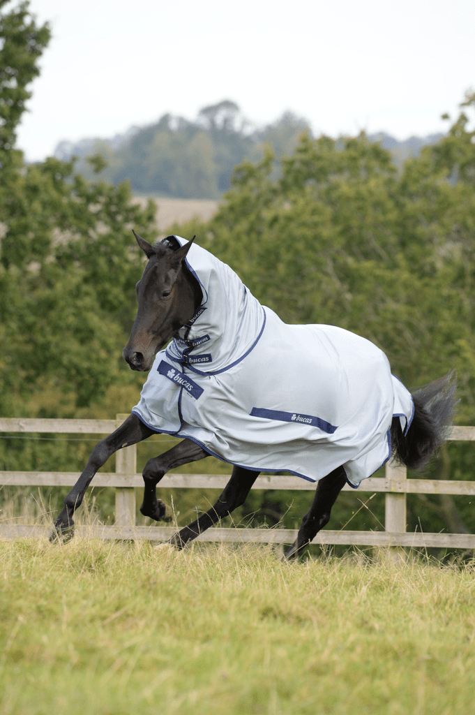 Bucas Buzz - Off & Neck Blue Vliegendeken Vliegendekens - Maddelin Equestrian Bucas