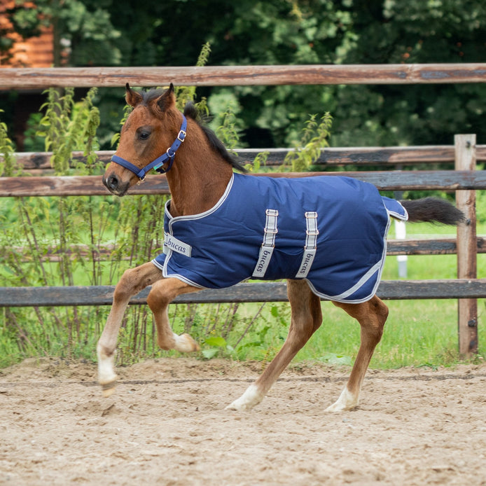 Bucas Foal Turnout 50g Outdoordeken - Maddelin Equestrian Bucas