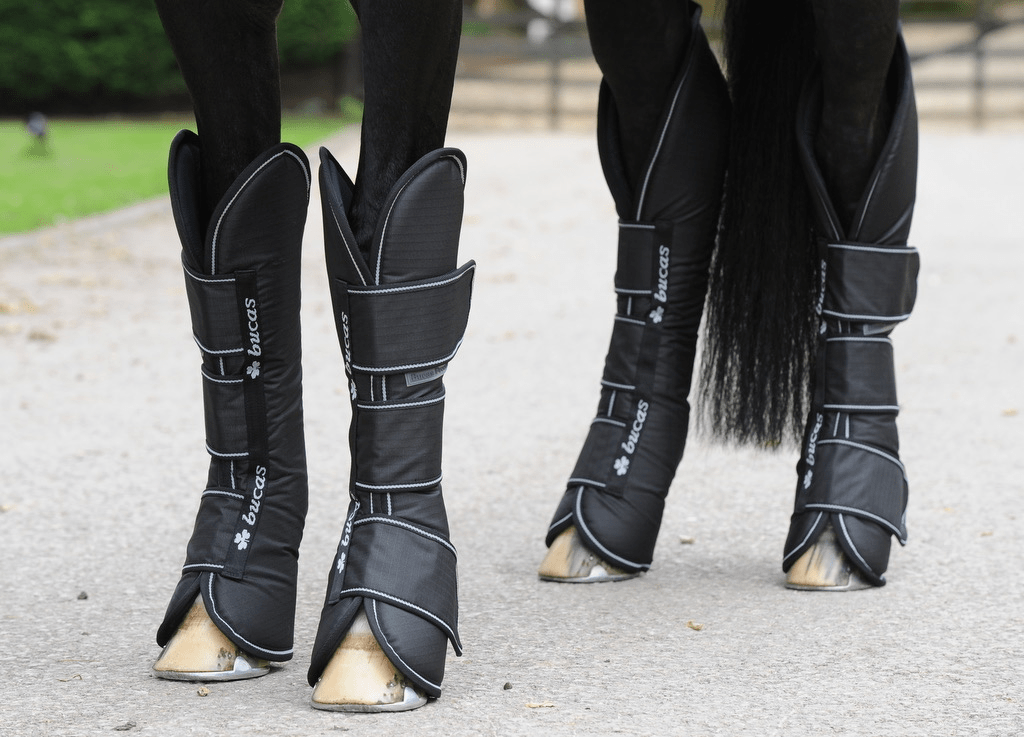 Bucas Freedom Boots Transportbeschermers Transport, therapeutisch en stalbeschermers - Maddelin Equestrian Bucas