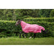 Bucas Freedom F/N Vliegendeken Vliegendekens - Maddelin Equestrian Bucas