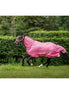 Bucas Freedom F/N Vliegendeken Vliegendekens - Maddelin Equestrian Bucas