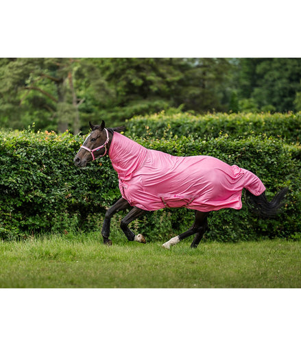 Bucas Freedom F/N Vliegendeken Vliegendekens - Maddelin Equestrian Bucas