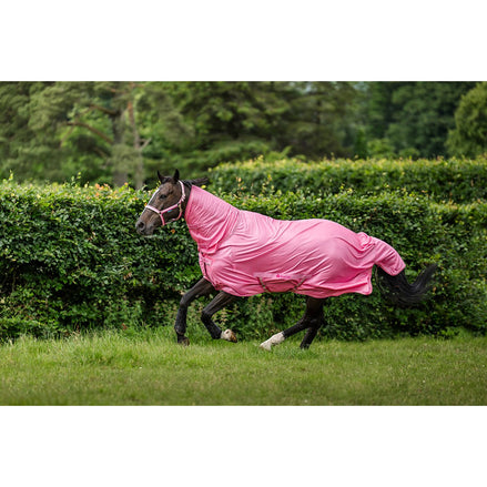 Bucas Freedom F/N Vliegendeken Vliegendekens - Maddelin Equestrian Bucas