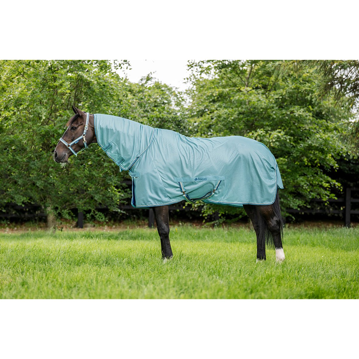 Bucas Freedom F/N Vliegendeken Vliegendekens - Maddelin Equestrian Bucas