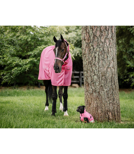 Bucas Freedom F/N Vliegendeken Vliegendekens - Maddelin Equestrian Bucas
