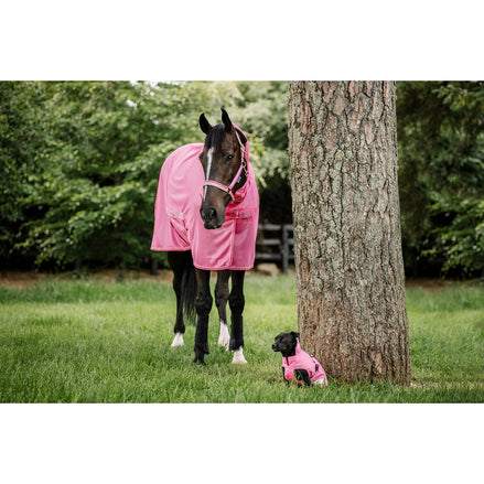 Bucas Freedom F/N Vliegendeken Vliegendekens - Maddelin Equestrian Bucas