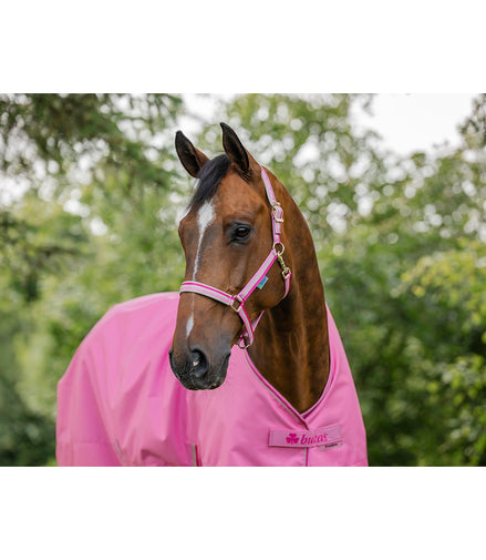 Bucas Freedom Turnout Light Outdoordeken - Maddelin Equestrian Bucas