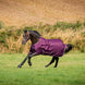Bucas Freedom Turnout Blackberry op een paard in de wei