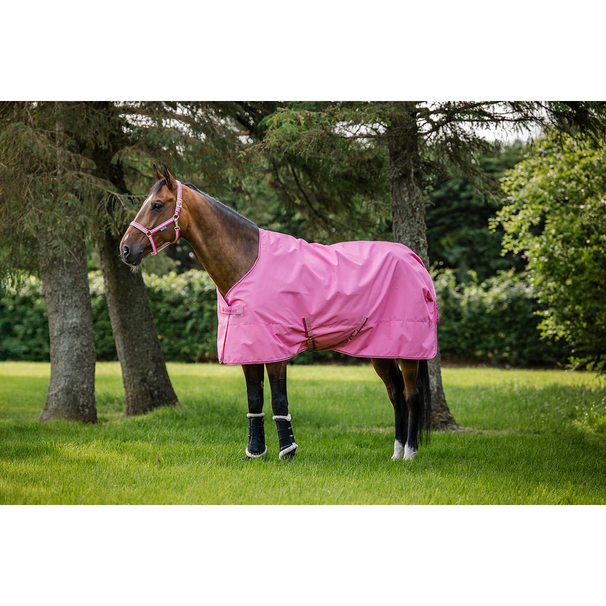 Bucas Freedom Turnout Light Outdoordeken - Maddelin Equestrian Bucas