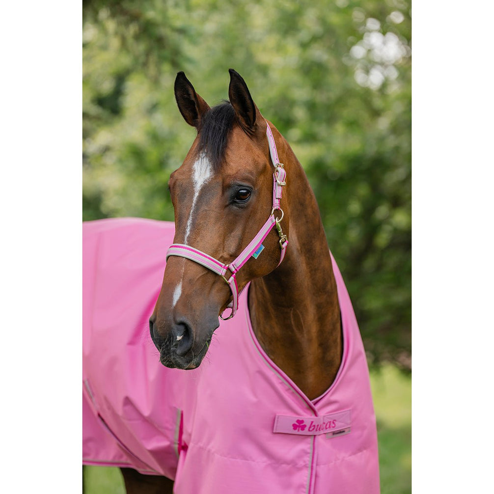 Bucas Freedom Turnout Light Outdoordeken - Maddelin Equestrian Bucas