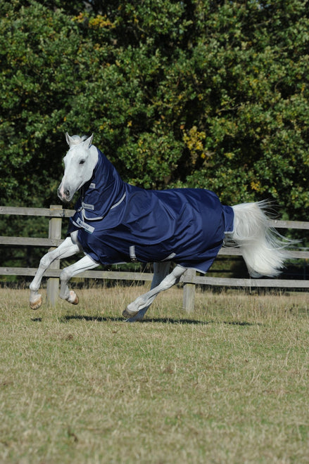 Bucas Freedom Turnout + Neck 100 Navy op een paard in de wei