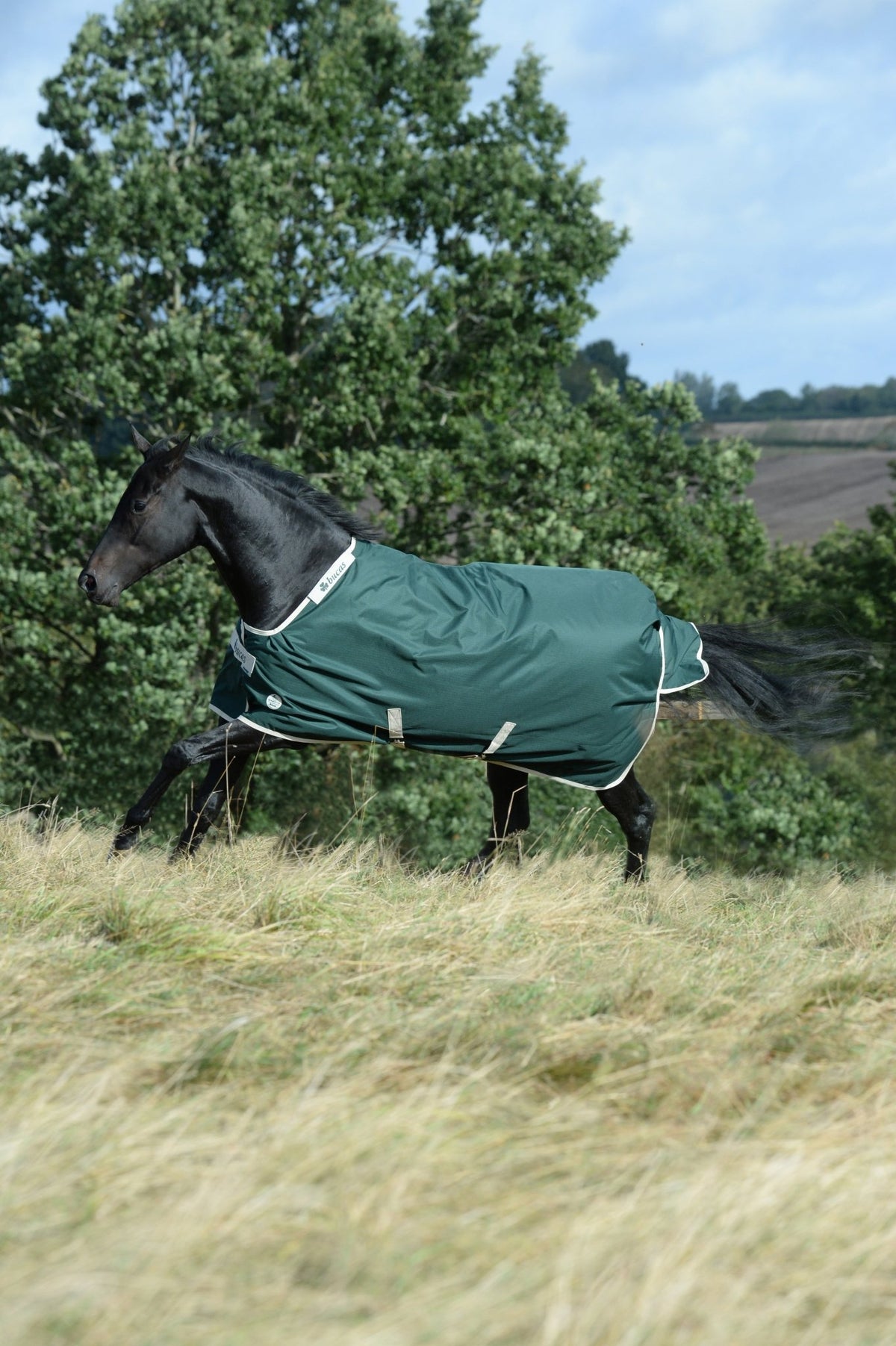 Bucas Greenline Turnout Green/Cream op een paard in de wei