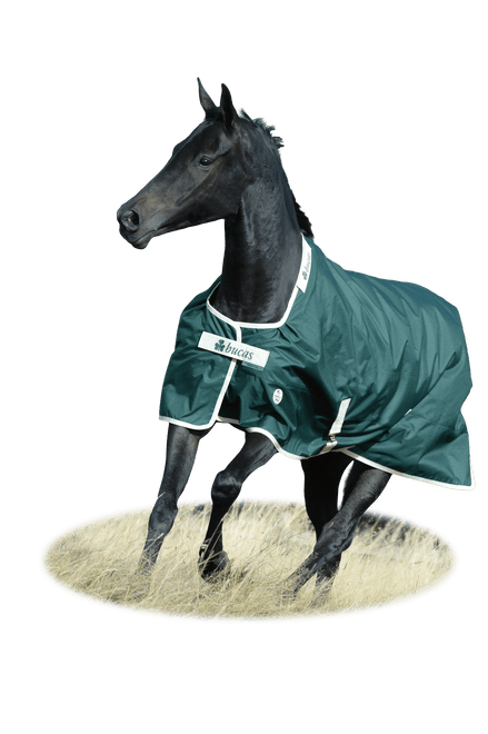 Bucas Greenline Turnout Green/Cream in galop