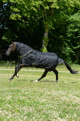 Bucas Irish Turnout 50 + Neck Black/Gold in galop