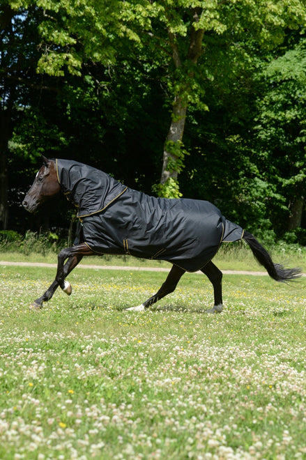 Bucas Irish Turnout 50 + Neck Black/Gold in galop