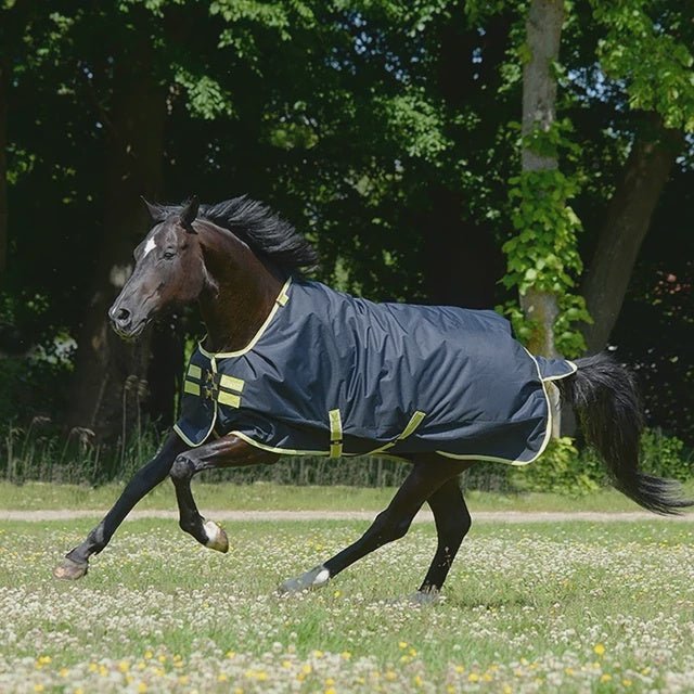 Bucas Oasis Outdoordeken 100 + Neck Set Outdoordeken - Maddelin Equestrian Bucas