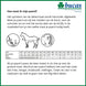Bucas Printed Zweet - en transportdeken Maddelin Zweetdekens - Maddelin Equestrian Bucas