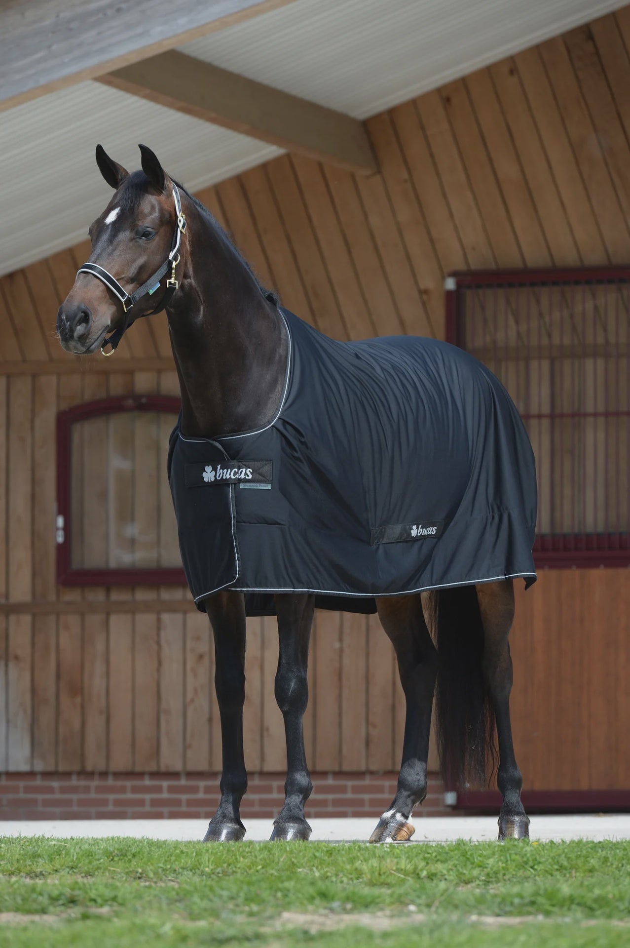 Bucas Shamrock Power All - in - 1 Deken Maddelin Zweetdekens - Maddelin Equestrian Bucas