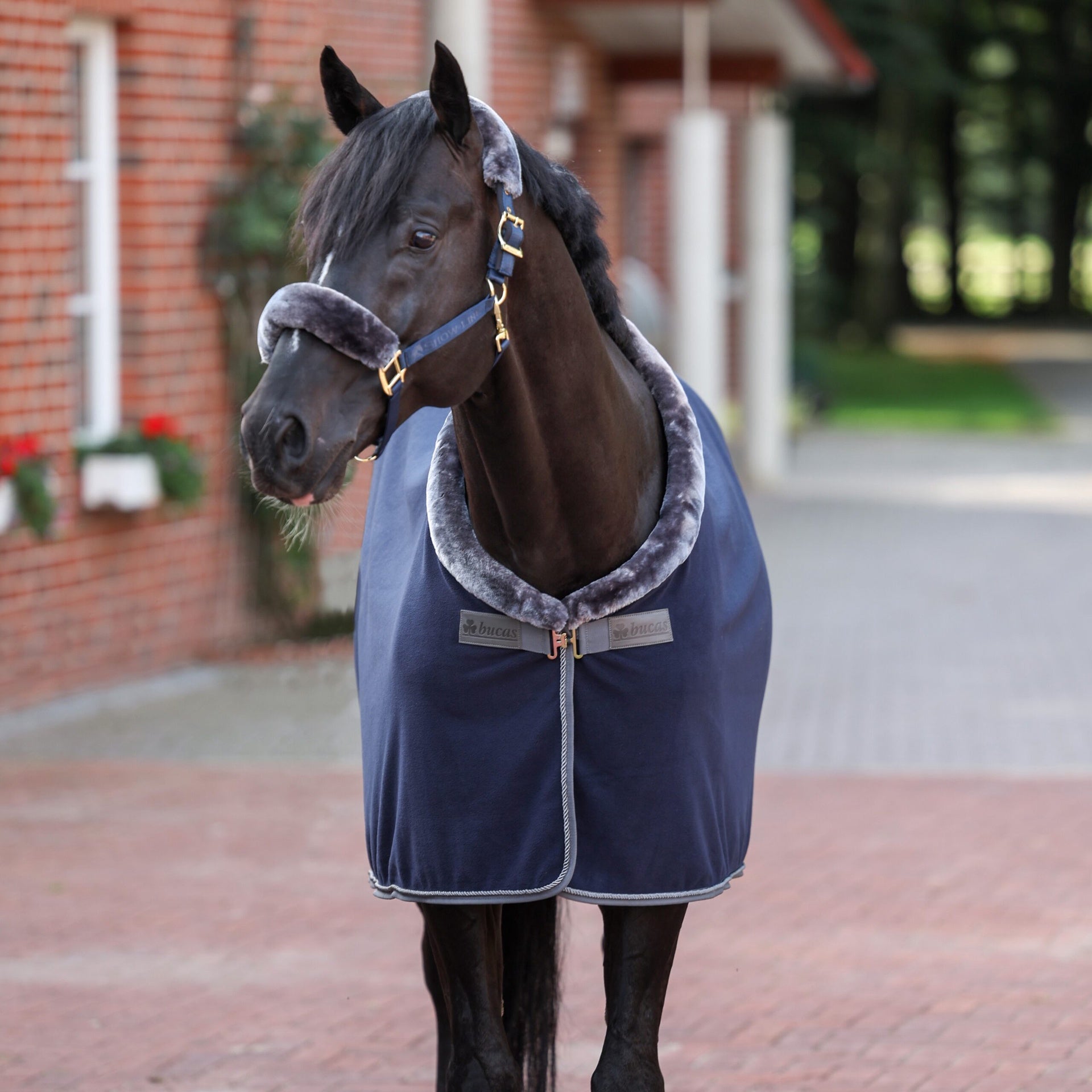 Bucas Show - Line Fleece Showdeken Zweetdekens - Maddelin Equestrian Bucas