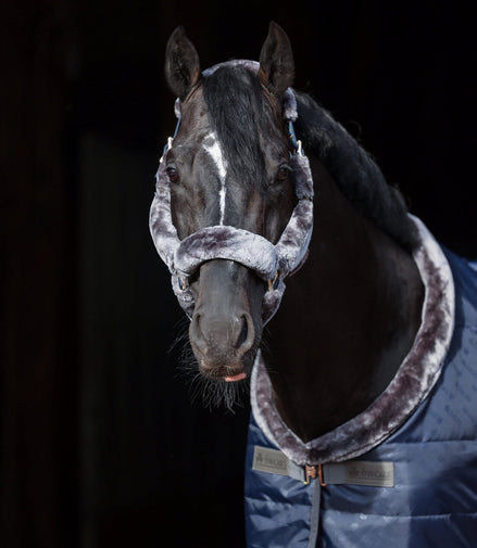 Bucas Show - Line Full Fur Halster Halster met wol of faux fur - Maddelin Equestrian Bucas