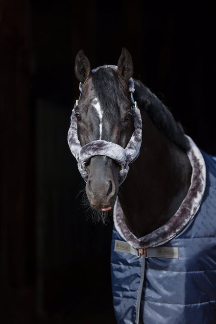 Bucas Show - Line Full Fur Halster Halster met wol of faux fur - Maddelin Equestrian Bucas