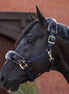 Bucas Show - Line Half Fur Halster Halster met wol of faux fur - Maddelin Equestrian Bucas