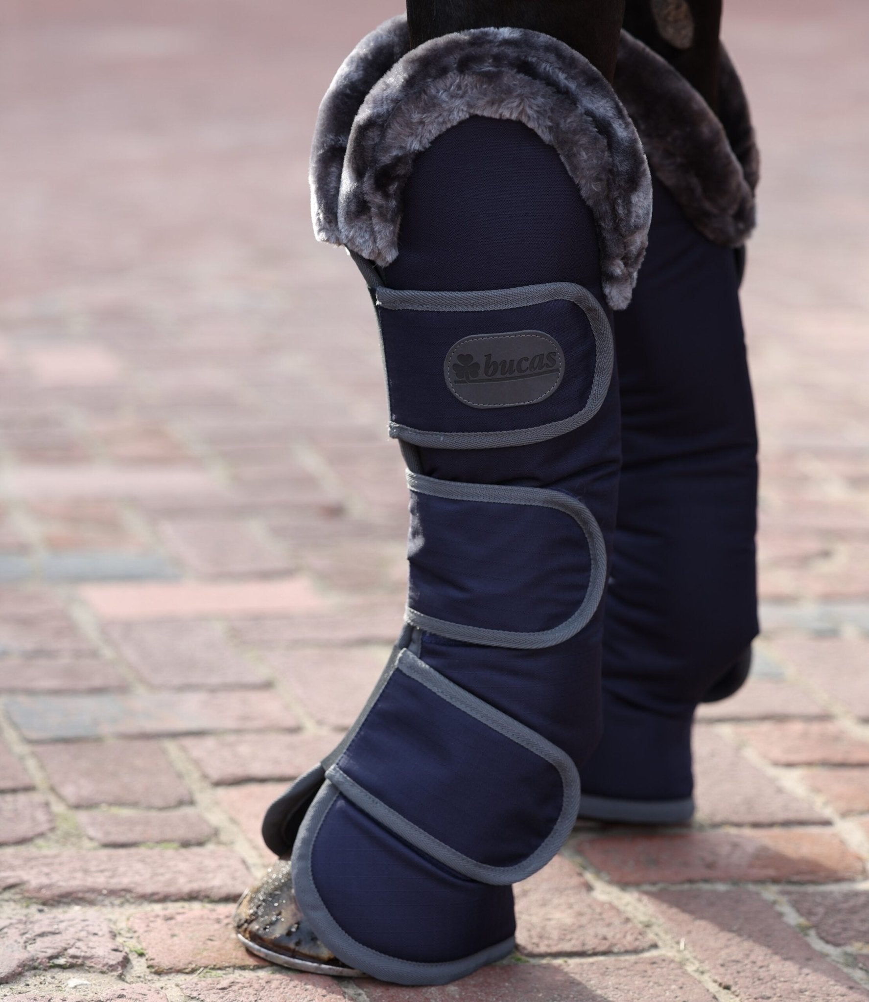 Bucas Show - Line Transportbeschermers Transport, therapeutisch en stalbeschermers - Maddelin Equestrian Bucas